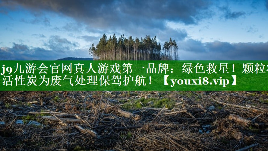 j9九游会官网真人游戏第一品牌：绿色救星！颗粒状活性炭为废气处理保驾护航！