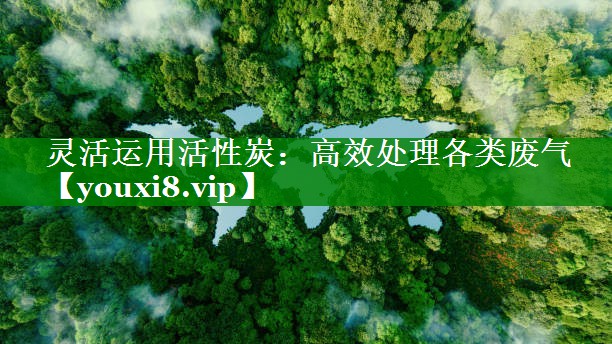 灵活运用活性炭：高效处理各类废气
