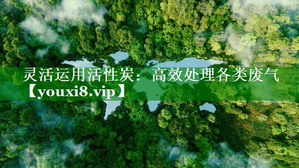 灵活运用活性炭：高效处理各类废气