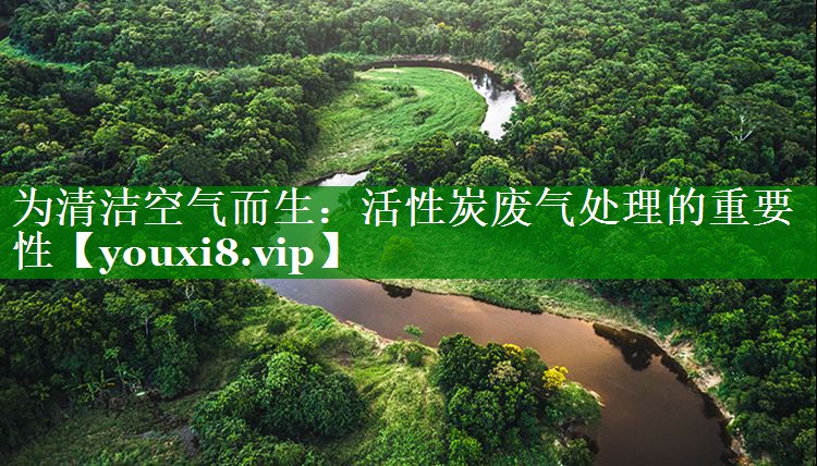为清洁空气而生：活性炭废气处理的重要性