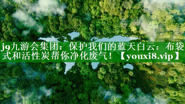 保护我们的蓝天白云：布袋式和活性炭帮你净化废气！